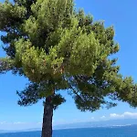 Διαμέρισμα Lovely 1 - Bedroom Lena *